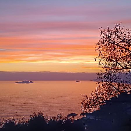 Rays Of Sun - Apartment Positano Dış mekan fotoğraf